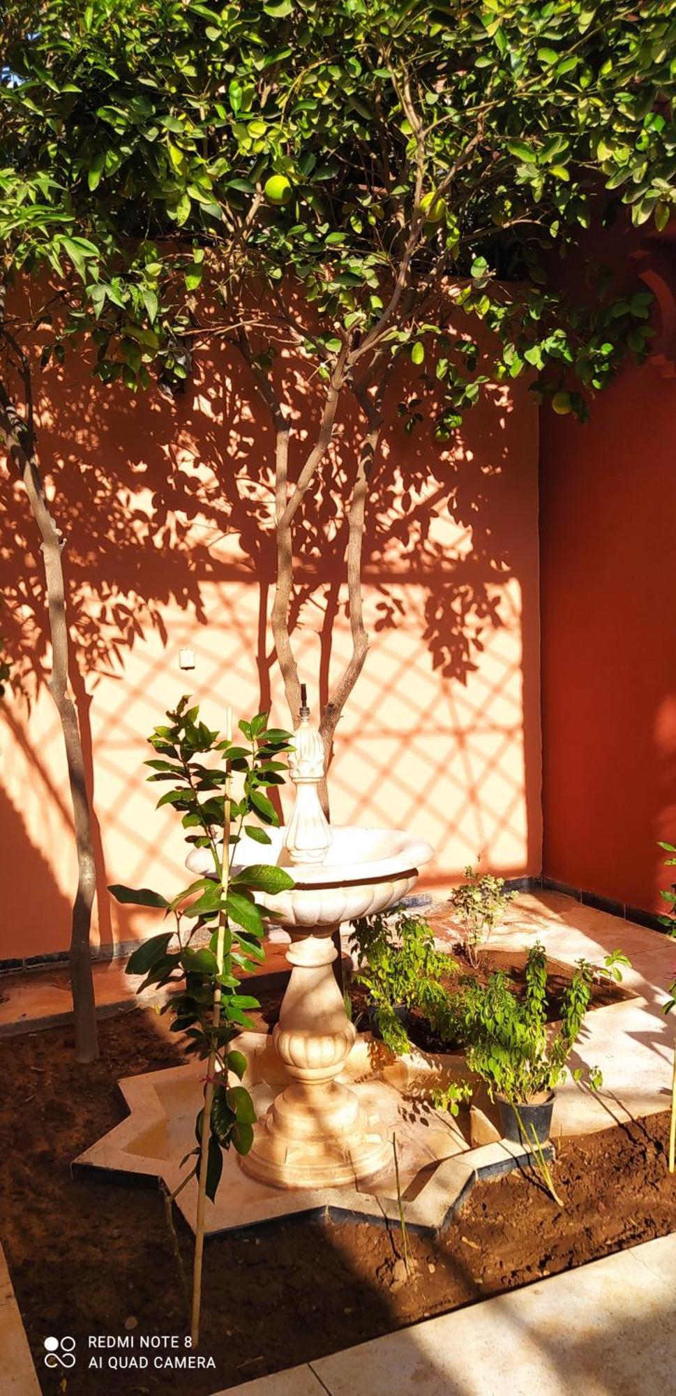 Gasthof Le Petit Jardin Marrakech